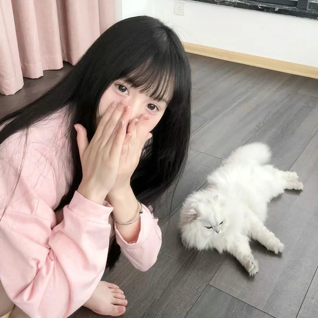 仙女座